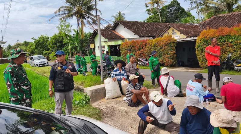 Babinsa Hadir Wujudkan Swasembada Pangan Nasional 