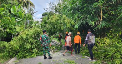Babinsa Bersama Masyarakat Gerak Cepat Atasi Pohon Tumbang Babinsa Bersama Masyarakat Gerak Cepat Atasi Pohon Tumbang