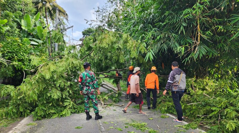 Babinsa Bersama Masyarakat Gerak Cepat Atasi Pohon Tumbang Babinsa Bersama Masyarakat Gerak Cepat Atasi Pohon Tumbang