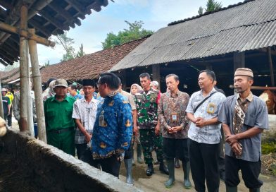 Sukseskan Program Pemerintah Babinsa Dukung Vaksinasi PMK