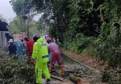 Babinsa Koramil 07/Ngemplak Sleman Gerak Cepat Evakuasi Pohon Tumbang