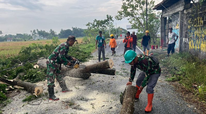 Bersama relawan, Babinsa Godean Atasi Pohon Tumbang
