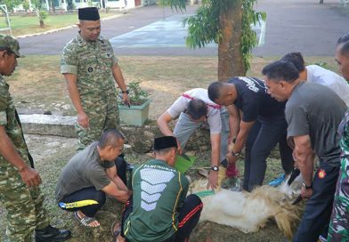 Wujud Kepedulian dan Ketakwaan, Kodim 0730/Gunungkidul Laksanakan Pemotongan Hewan Kurban di Makodim