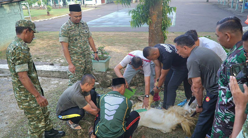 Wujud Kepedulian dan Ketakwaan, Kodim 0730/Gunungkidul Laksanakan Pemotongan Hewan Kurban di Makodim