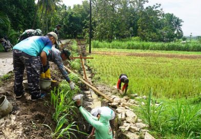 Talud Jalan Guna Pengamanan Jalan dan Persawahan