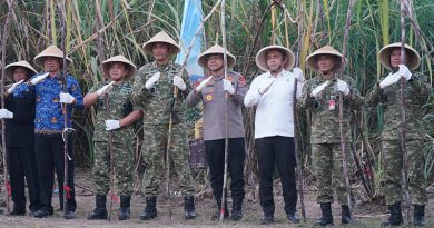 Danrem 072/Pamungkas Hadiri Panen Raya Tebu Serentak di Lanud Adisutjipto Danrem 072/Pamungkas Hadiri Panen Raya Tebu Serentak di Lanud Adisutjipto