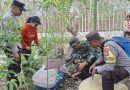 Peringati HUT TNI ke-81, Kodim 0730/Gunungkidul Gelar Penanaman Pohon Serentak di Besari Siraman