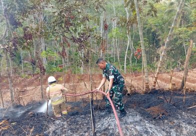 Babinsa Serka Sukoco Gerak Cepat Tangani Kebakaran Kebun Bambu di Kemloko Babinsa Serka Sukoco Gerak Cepat Tangani Kebakaran Kebun Bambu di Kemloko