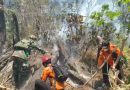 Api Meluas, Pohon Pinus Tumbang! Kodim 0707/Wonosobo bersama Tim Gabungan Padamkan KARHUTLA di Lahan Perhutani Kaliguwo-Kaliwiro dan Kedunggong