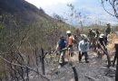 Kodim Wonosobo dan Tim Gabungan Berjibaku Padamkan Kebakaran Gunung Sumbing, 300 Hektare Lahan Terbakar