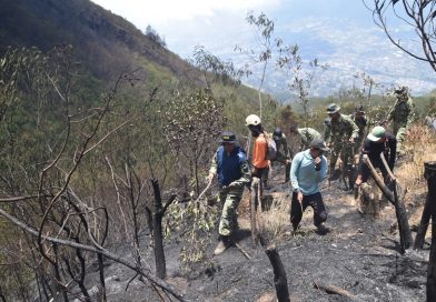 Kodim Wonosobo dan Tim Gabungan Berjibaku Padamkan Kebakaran Gunung Sumbing, 300 Hektare Lahan Terbakar